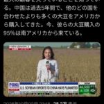 レス10番の画像1