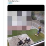 レス1番の画像1