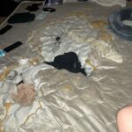 レス3番の画像1