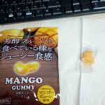 レス13番の画像1