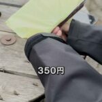 レス1番の画像3