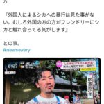 レス3番の画像1