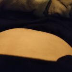 レス95番の画像1