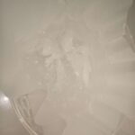 レス124番の画像1