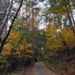 レス6番の画像1