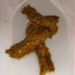 レス1番の画像3