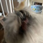 レス2番の画像2