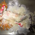 レス2番の画像1