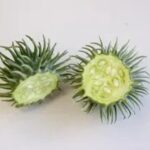 レス8番の画像2