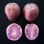 レス8番の画像3