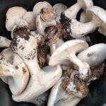 レス2番の画像1