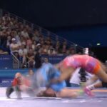 レス133番の画像2