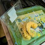 レス1番の画像18