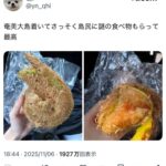 レス2番の画像1