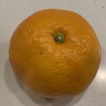 レス31番の画像1