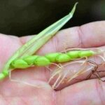 レス10番の画像1