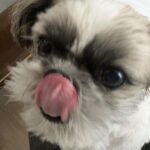 レス2番の画像3