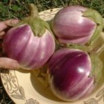 レス1番の画像4