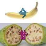 レス8番の画像1