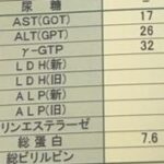 レス21番の画像1