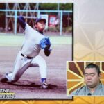 レス29番の画像1