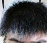 レス22番の画像1