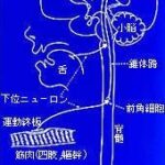 レス1番のリンク先のサムネイル画像