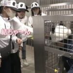 レス1番の画像3