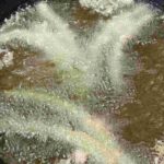 レス14番の画像1