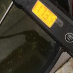 レス12番の画像2