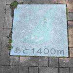 レス12番の画像1