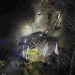 レス53番の画像1