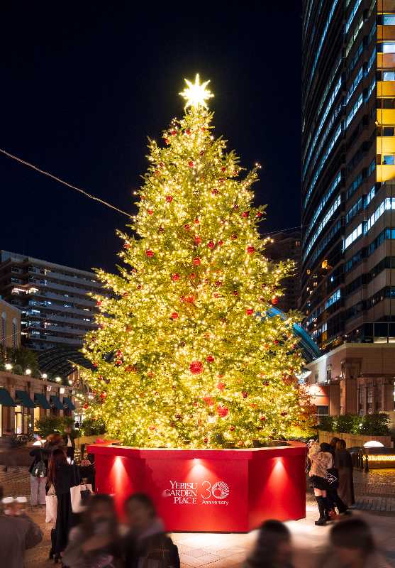 記事サムネイル