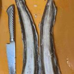 レス9番の画像4