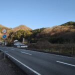 レス5番の画像1