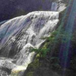 レス13番の画像1