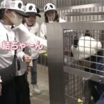 レス1番の画像3