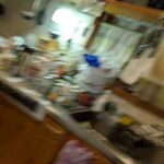 レス6番の画像16