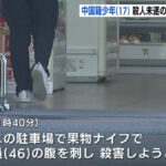 レス1番のリンク先のサムネイル画像