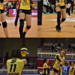 レス53番の画像1