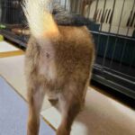 レス57番の画像1