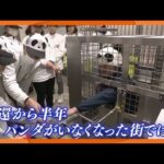 レス5番の画像1