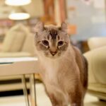 レス10番の画像2