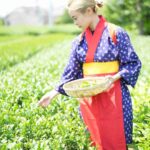 レス2番の画像4