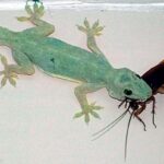 レス1番の画像4