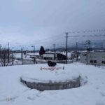 レス1番の画像5