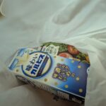 レス2番の画像10