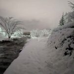 レス27番の画像2