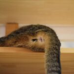 レス15番の画像1