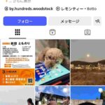 レス320番の画像1